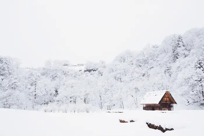 Snow-covered house among winter trees